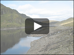 The Arrow Picture Book