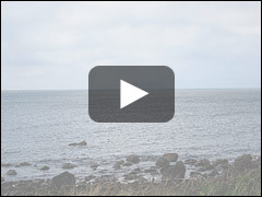 The Hawk Picture Book