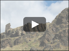 The Rock Picture Book